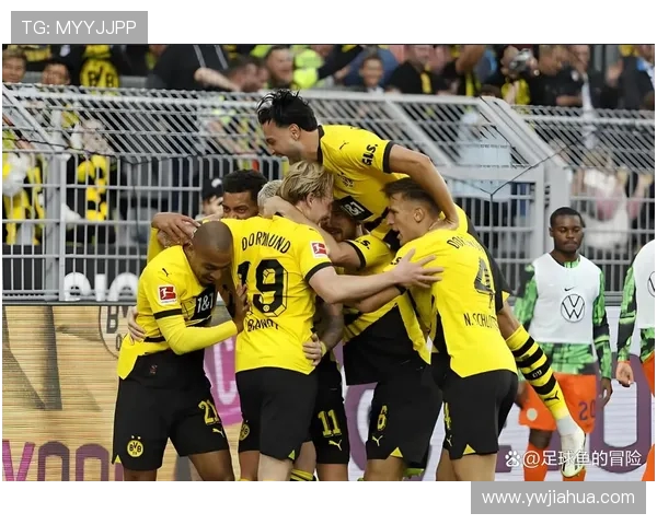 德国现存有哪些德甲参赛球队？2025赛季更新